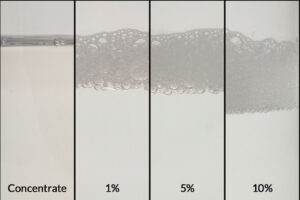 quimica ZERUST AxxaWash KF-122 en su forma concentrada al lado con soluciones diluidas al 1%, 5%, y 10%, demostrando la compatibilad con augua dura para la limpieza de partes.