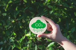 Gráfico de una nube de CO₂ con flechas hacia abajo, que representa la reducción de las emisiones de carbono.