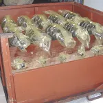 Prevención de corrosión en talleres de maquinado utilizando ZERUST® VCI poly para proteger piezas mecanizadas durante el envío